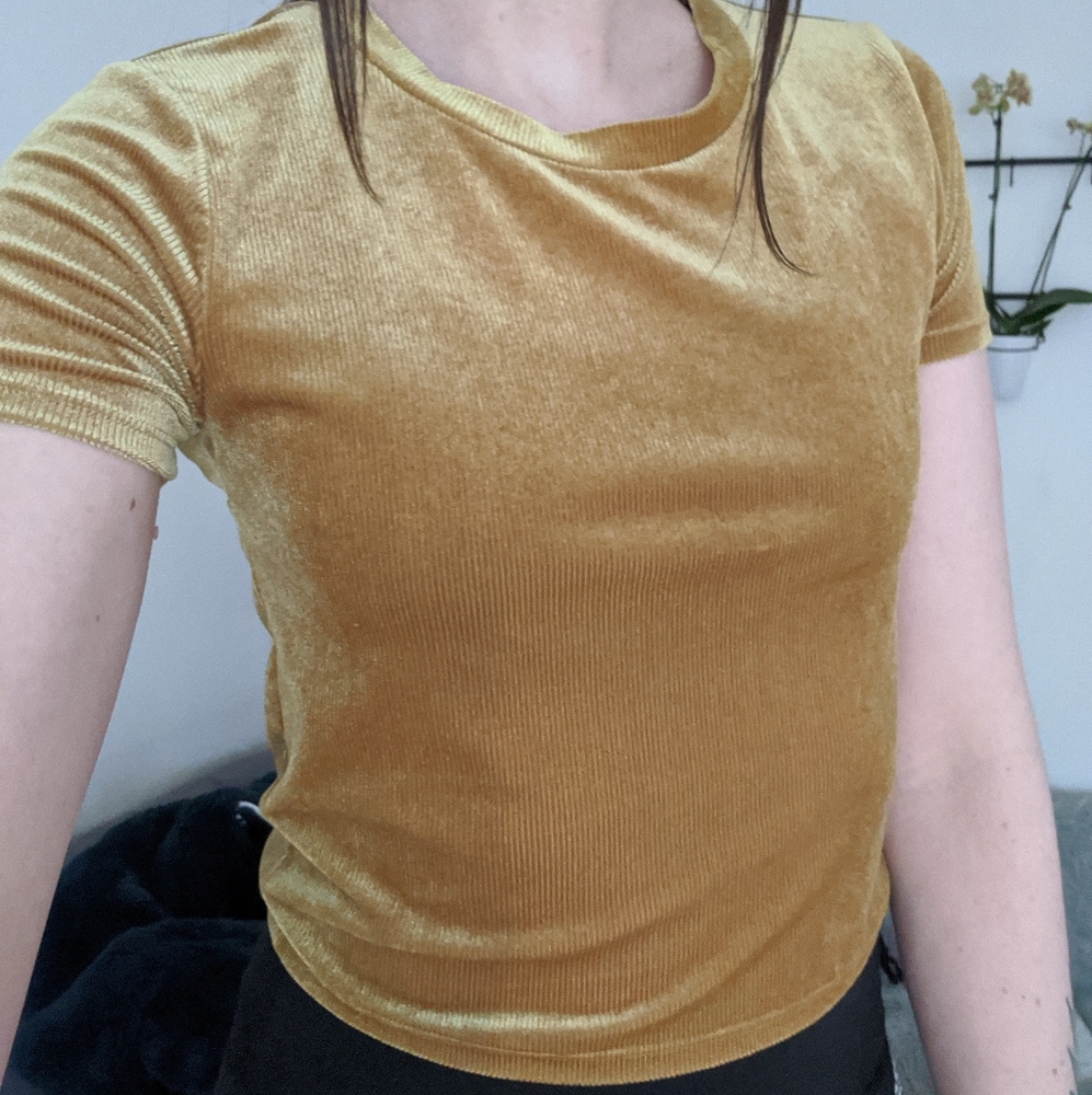 Golden Velvety Crop Top